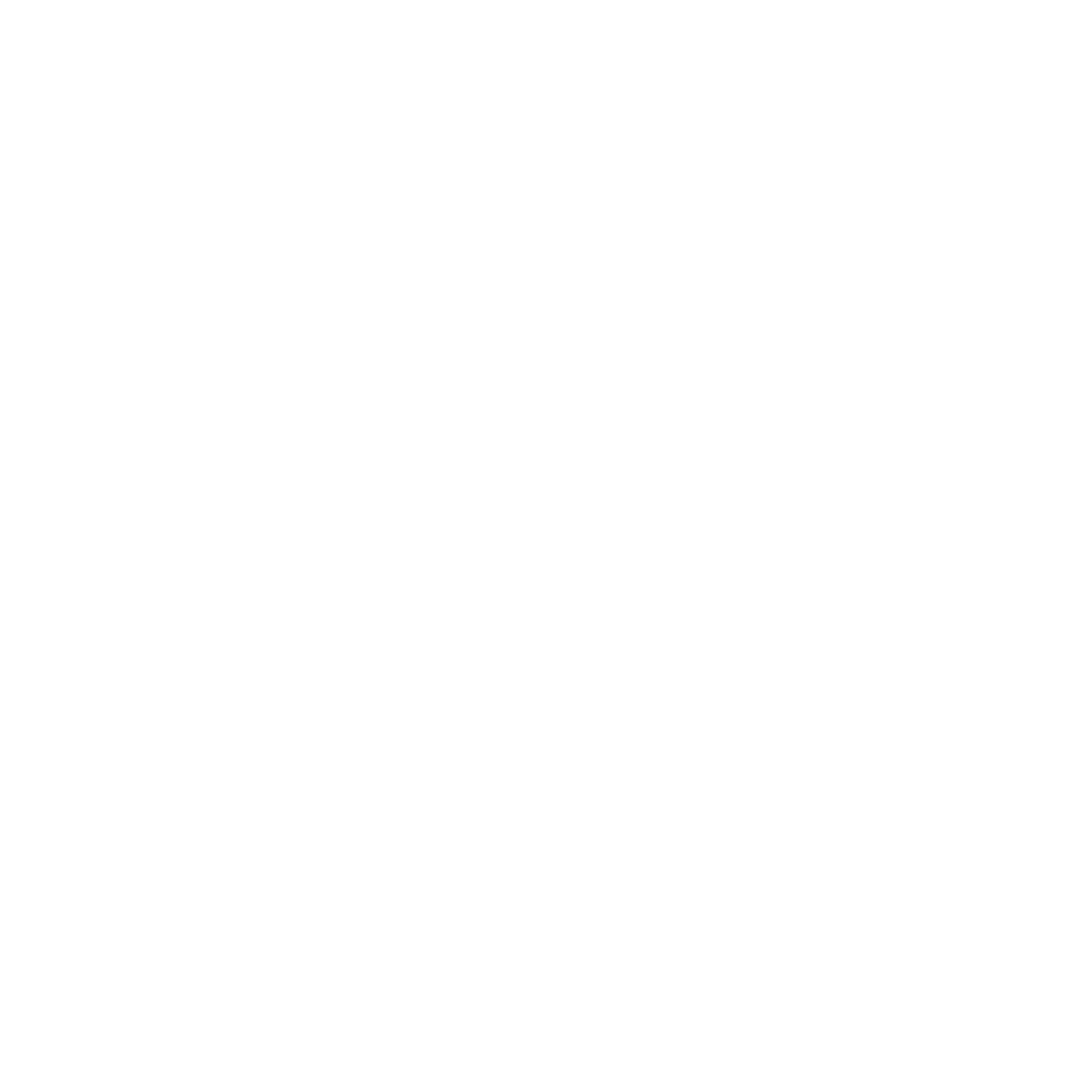 Next Day Fix